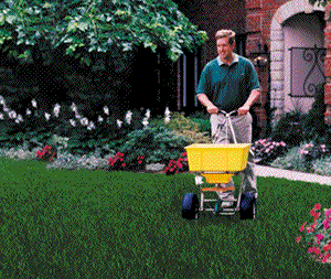 Granular lawn fertilization is the preferred professional  method of applying nutrients to quality lawns.